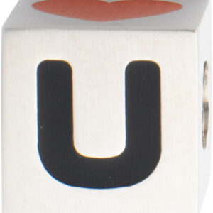 Magnetschließe zum Knüpfen Edelstahl, Würfel L 10 x B 10 x H 10mm, Lackdekor