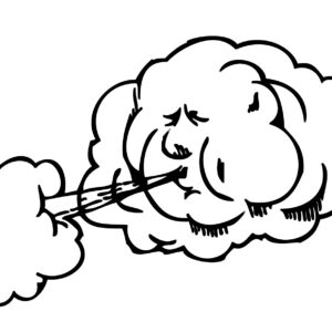 Druckluftanschluss Elmasteam 3000 + 5000 Elma