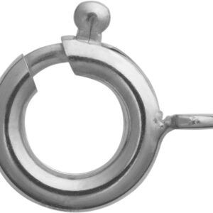 Federring Edelstahl Ø 12,00 ohne Bund