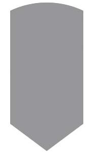 C-Max Facettenstichel parallel 105°