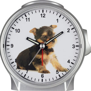 Kinderquarzwecker Yorkiwelpe