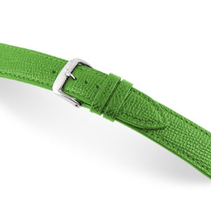 Lederband Pasadena 22 mm apfelgrün XL