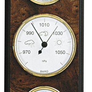 Wetterstation Made in Germany, Nusswurzel