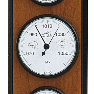 Wetterstation Made in Germany, Birnbaum