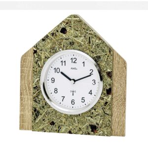 AMS Funk-Tischuhr F5174