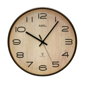 AMS Funk-Wanduhr F5502
