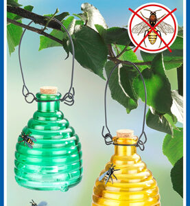 Wespenfalle, 2er Set