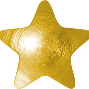 Erstohrstecker Easy Piercy Classic Ø 3,95 mm vergoldet Basic Stern