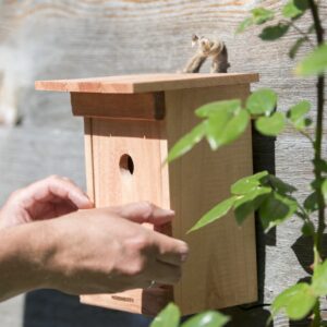 Nistkasten - Nisthilfe