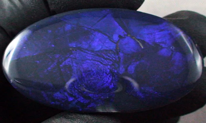 B00219 1 black opal opale sicher online bestellen