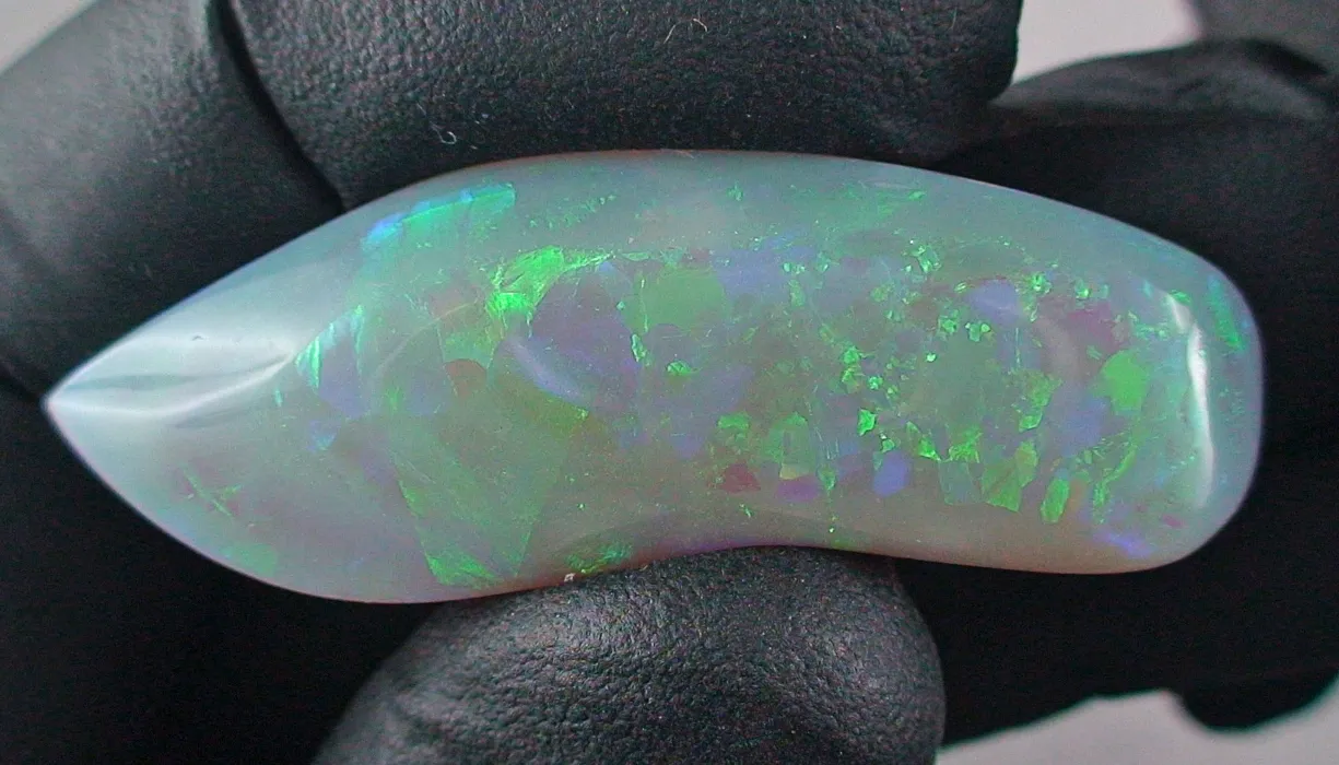 B00361 1 semi black opal opale sicher online bestellen