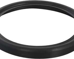 Dichtungsring für Glas