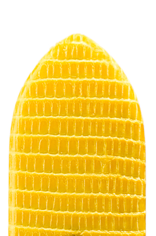 0000008839