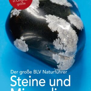 Buch Steine und Mineralien