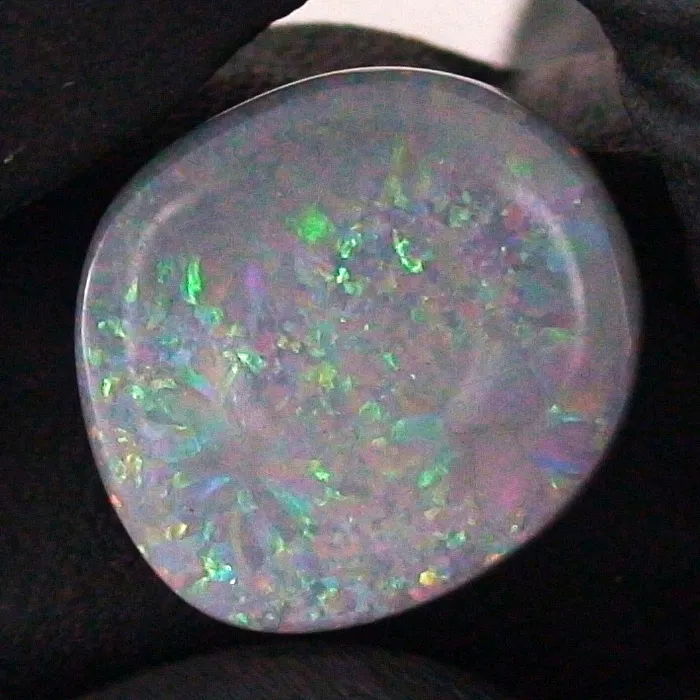 B00186 1 semi black opal opale sicher online bestellen