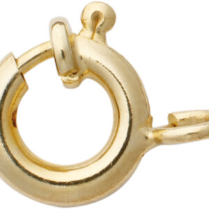 Federring Gold 750/-Gg Ø 6,00mm mit Bund stabil