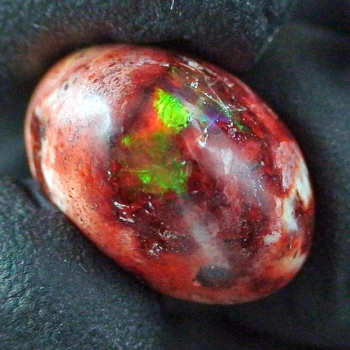 B00113 1 feuer opal opale sicher online kaufen
