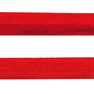 Magnet